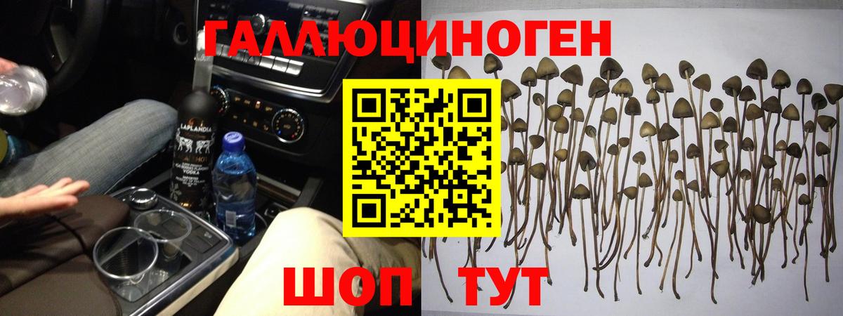 Псилоцибиновые грибы ЛСД  Вход с VPN  Амурск 