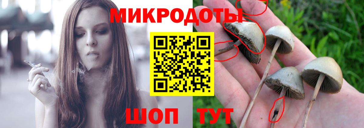Псилоцибиновые грибы прущие грибы Амурск